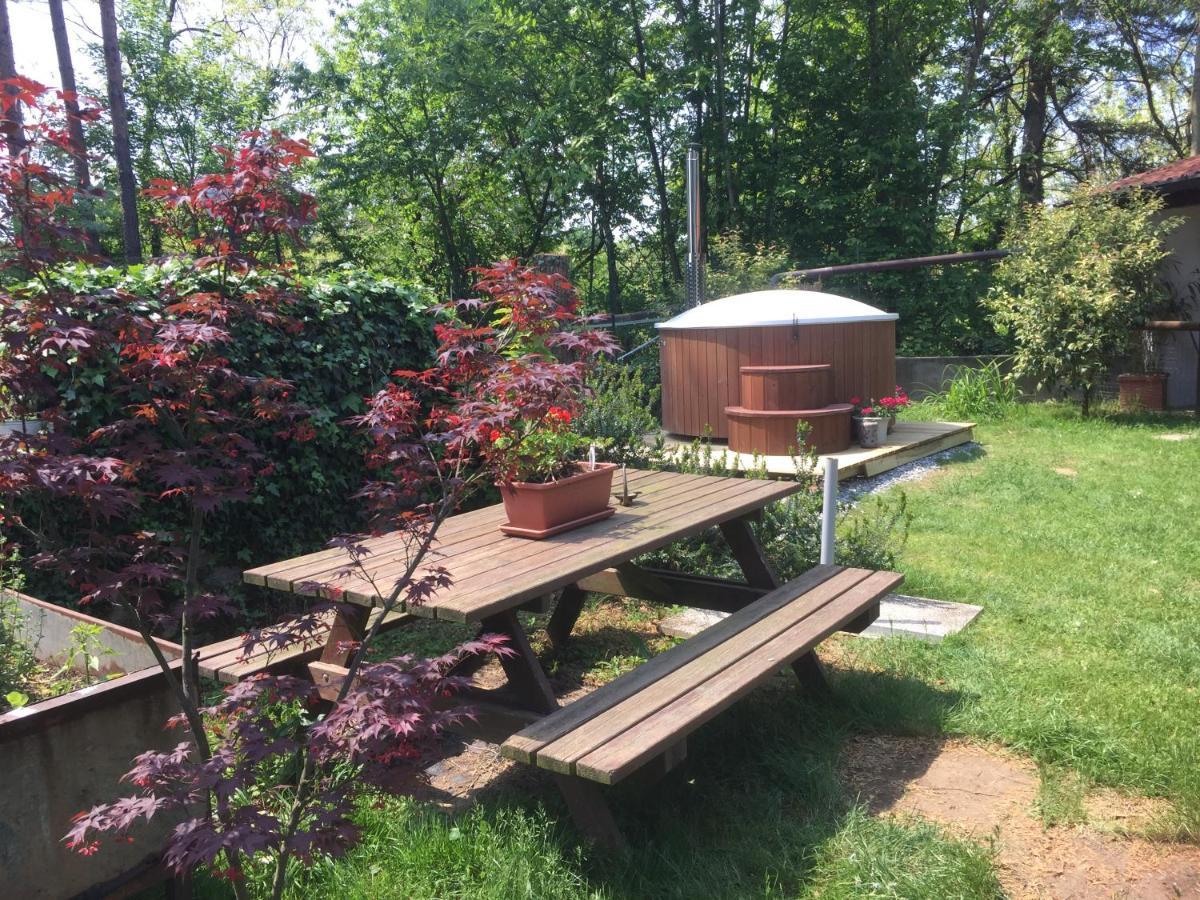 Tiny House - Lake Maggiore -Malpensa Airport - Pensionat Varallo Pombia Eksteriør billede